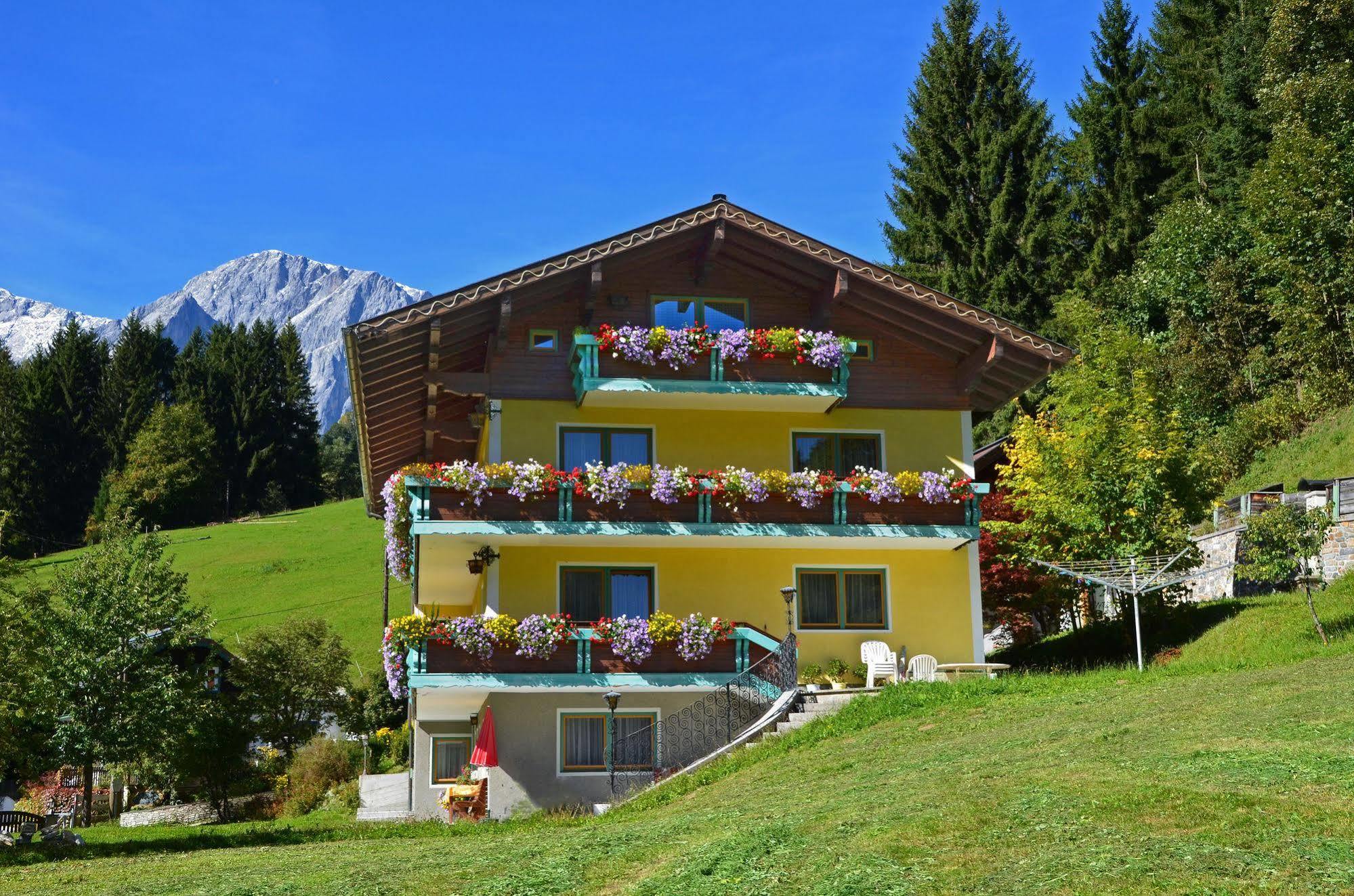 Haus Elisabeth Bed & Breakfast Mühlbach am Hochkönig Dış mekan fotoğraf