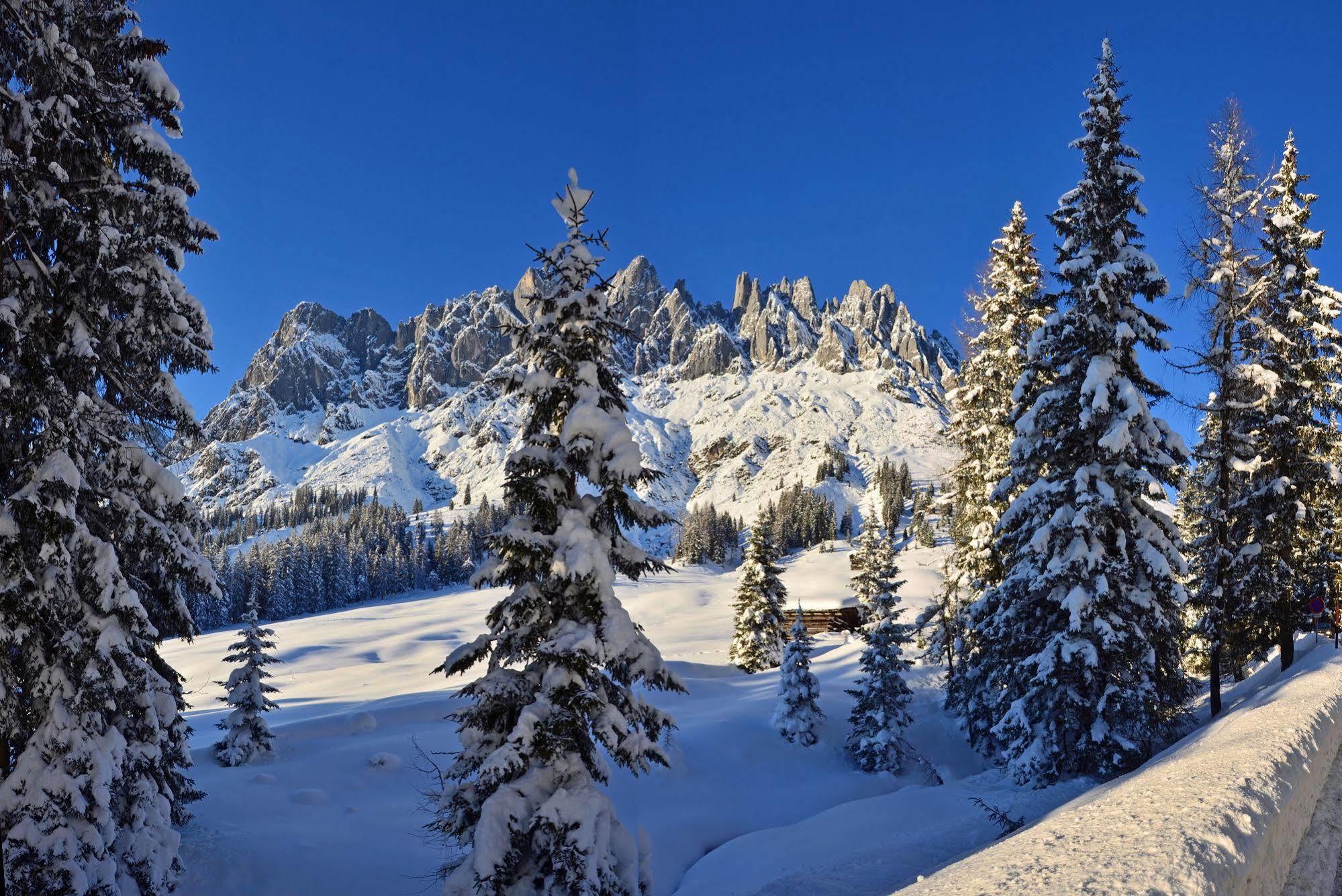 Haus Elisabeth Bed & Breakfast Mühlbach am Hochkönig Dış mekan fotoğraf
